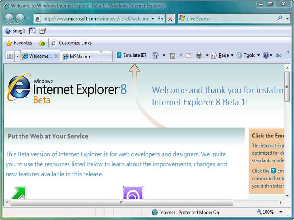 Internet Explorer Program